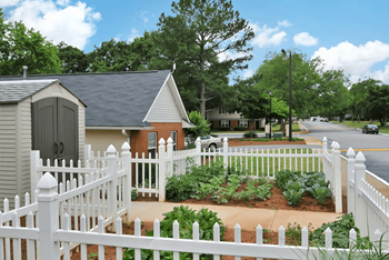 Community garden